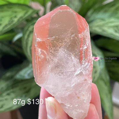 Pink Scarlet Lemurian Seed Point (Brazil) Aaa (Rare) Raw Stones