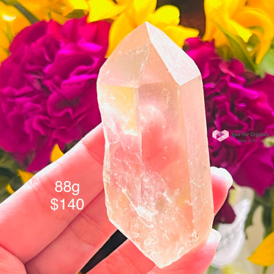 Pink Shadow Healer Lemurian 88G