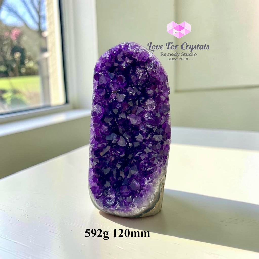 Premium Amethyst Cluster (Deep Colour AAAA) Brazil - Amethyst