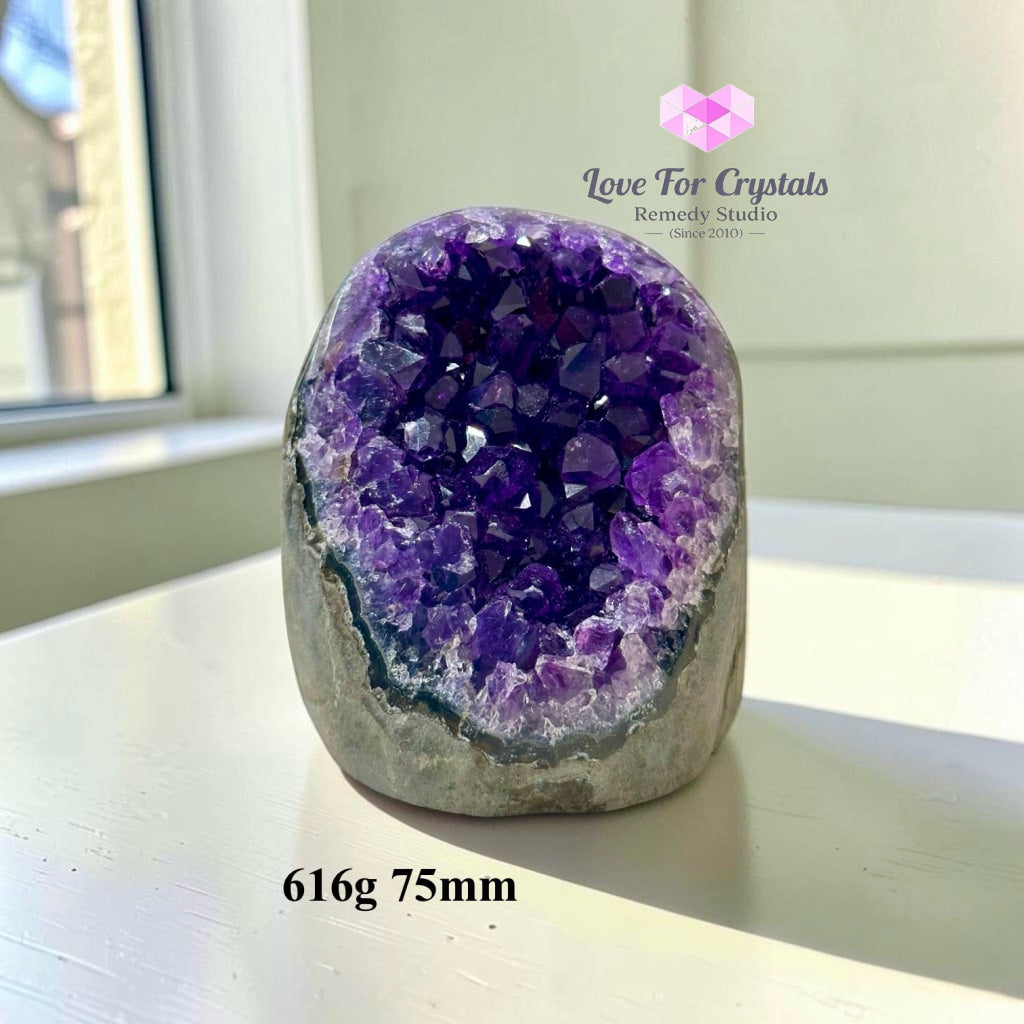 Premium Amethyst Cluster (Deep Colour AAAA) Brazil - Amethyst