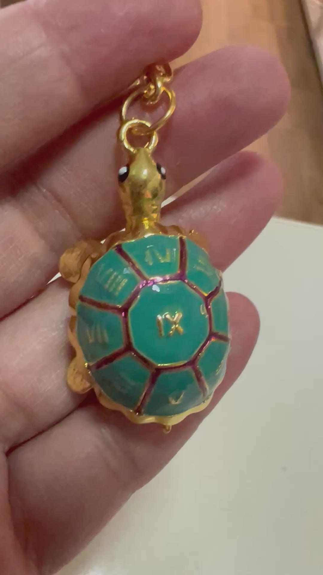 Water Tortoise Amulet Keychain (Feng Shui 2026)