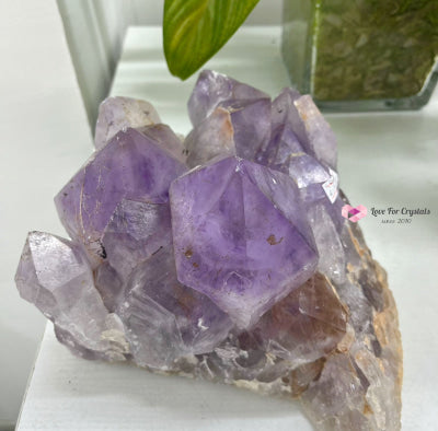 Raw Amethyst Cluster on Rotating Wooden Stand 5.5kgs (Brazil) 5.5kgs Amethyst