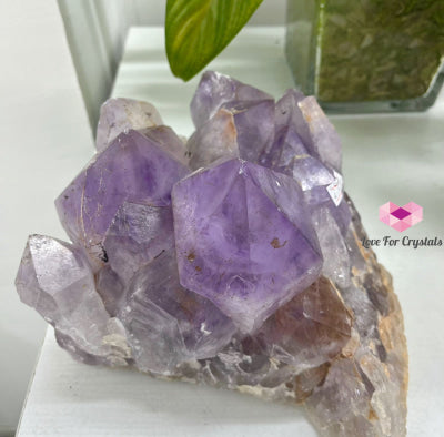 Raw Amethyst Cluster on Rotating Wooden Stand 5.5kgs (Brazil) 5.5kgs Amethyst