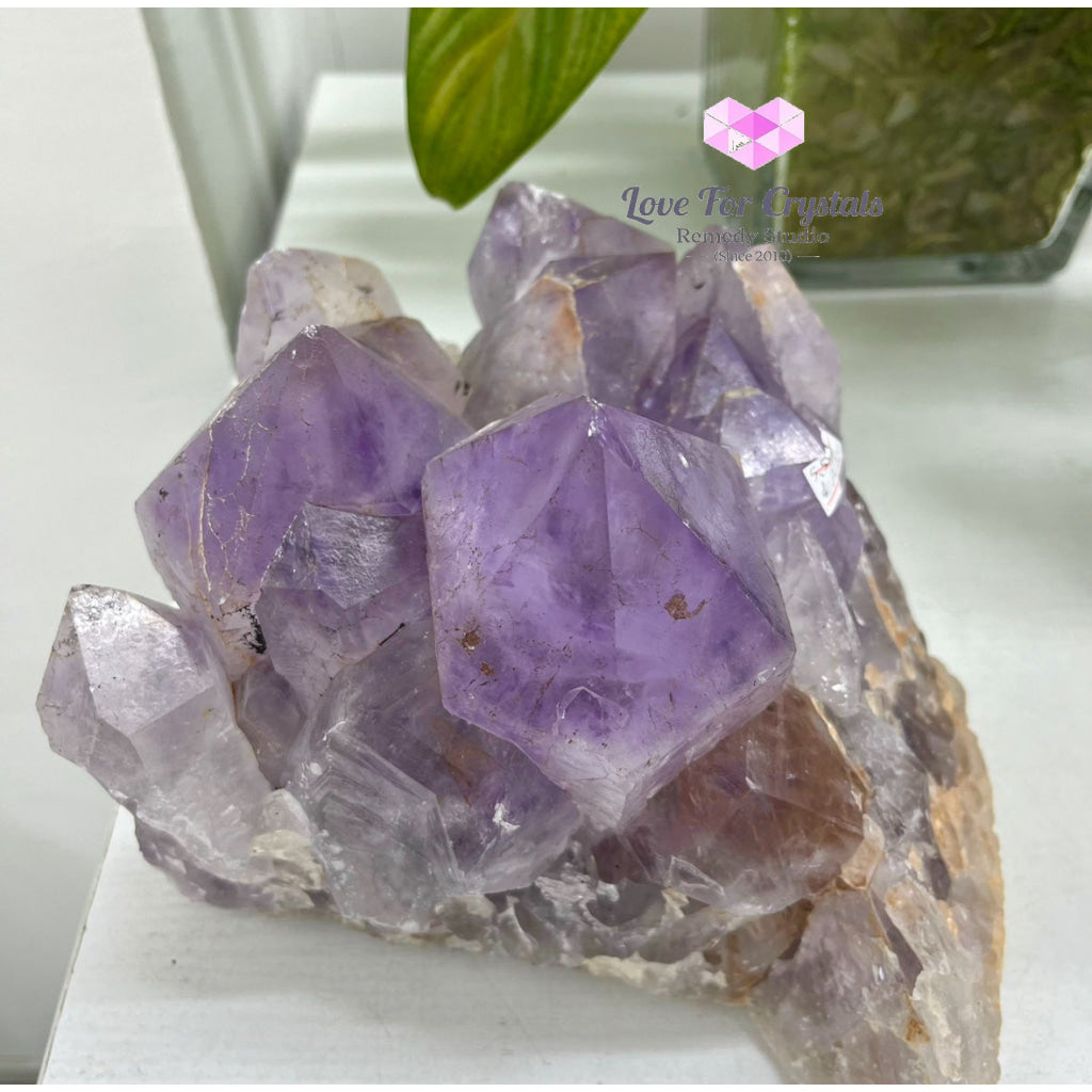 Raw Amethyst Cluster on Rotating Wooden Stand 5.5kgs (Brazil) 5.5kgs Amethyst