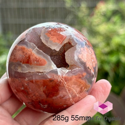 Red Flower Agate Sphere With Wooden Stand (Rare!) Madagascar 285G 55Mm