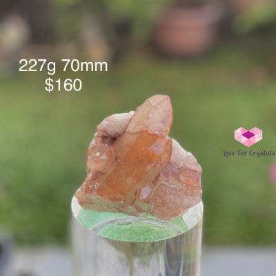 Red Tangerine Lemurian Cluster (Brazil) Rare! 227G 70Mm Caves Geodes And Clusters