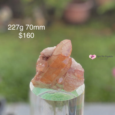 Red Tangerine Lemurian Cluster (Brazil) Rare! 227G 70Mm Caves Geodes And Clusters