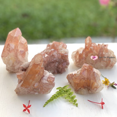 Red Tangerine Lemurian Cluster (Brazil) Rare! Caves Geodes And Clusters