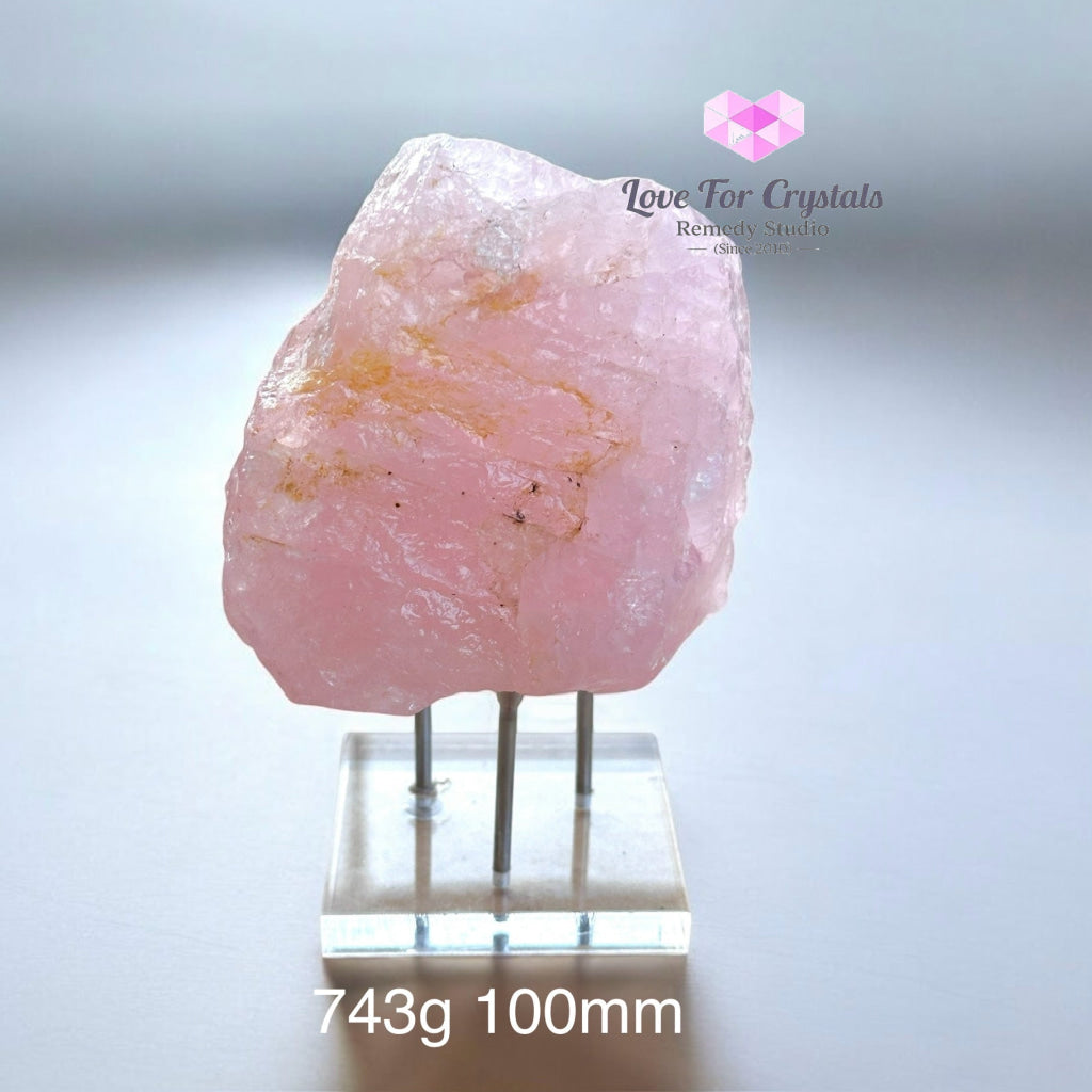 Rose Quartz Natural Raw With Acrylic Stand (Large) Brazil 743G 100Mm Crystal