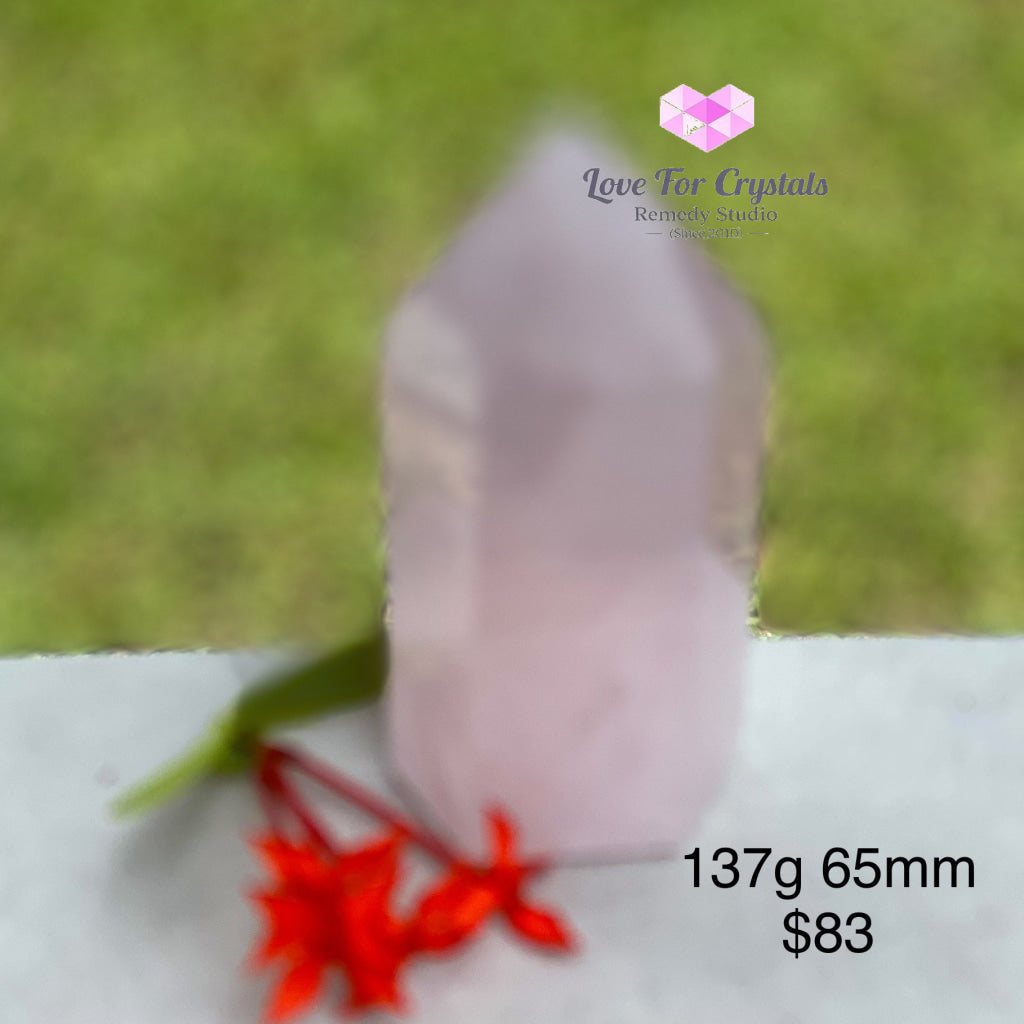 Rose Quartz Standing Point (Brazil) 137G 65Mm