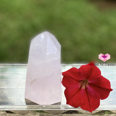 Rose Quartz Standing Point (Brazil) 138G 70Mm