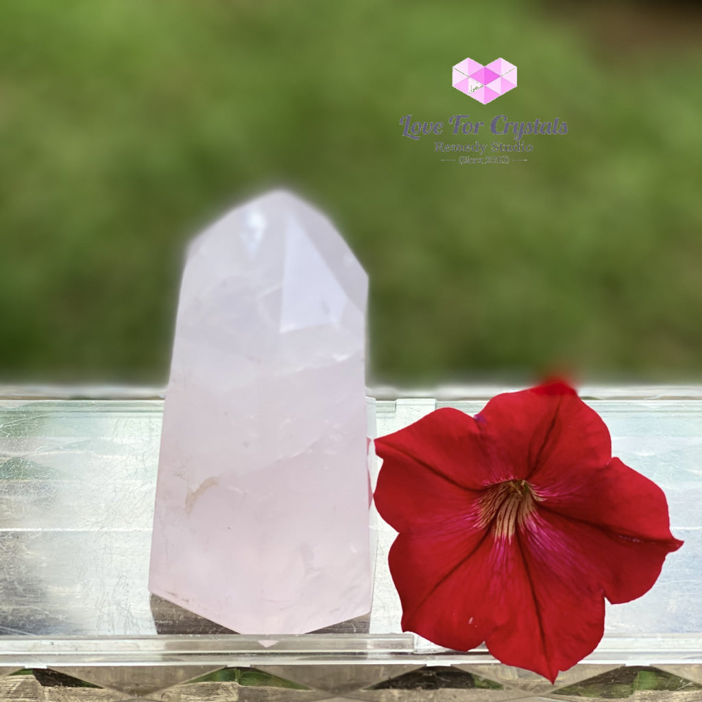 Rose Quartz Standing Point (Brazil) 138G 70Mm