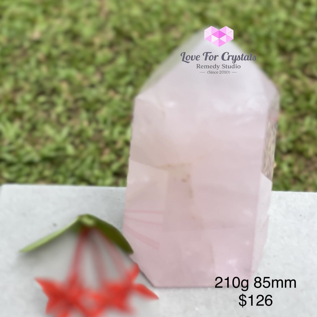 Rose Quartz Standing Point (Brazil) 210G 85Mm