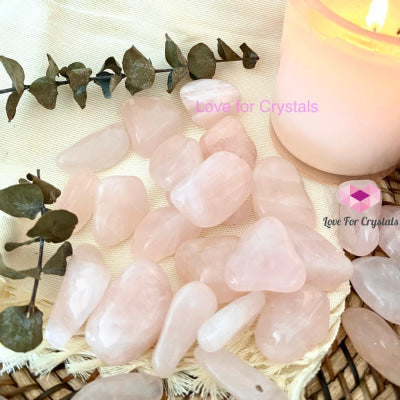 Rose Quartz Tumbled Stones (Brazil)