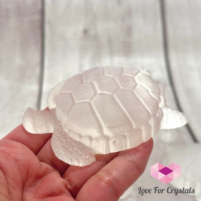 Selenite Carved Turtle 7Cm Crystals