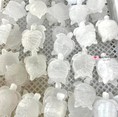 Selenite Carved Turtle 7Cm Crystals