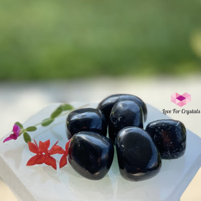 Shungite Tumbled (Russia) Stones