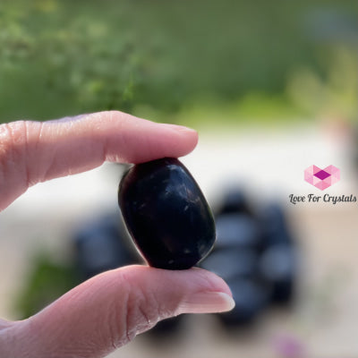 Shungite Tumbled (Russia) Stones