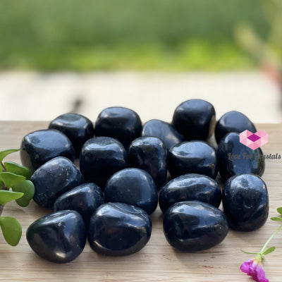 Shungite Tumbled (Russia) Stones