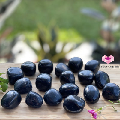 Shungite Tumbled (Russia) Stones
