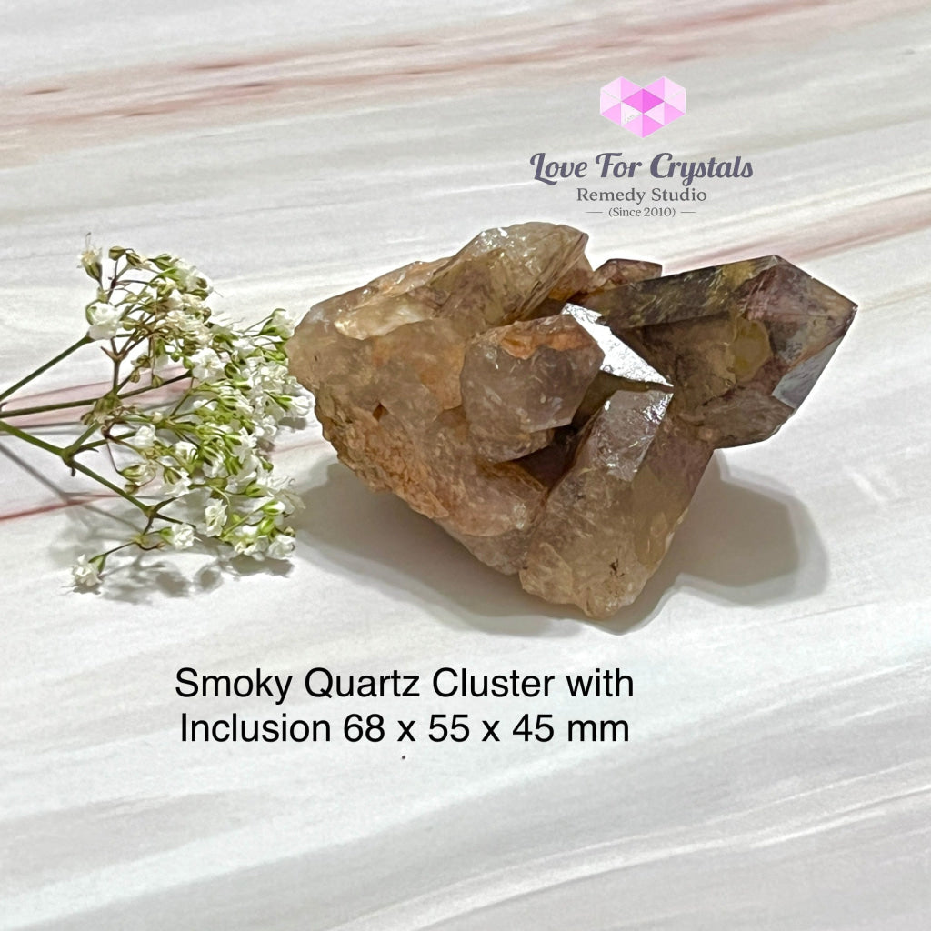 Smoky Quartz Crystal With Inclusion (South Africa) Collectors 68 X 55 45 Mm