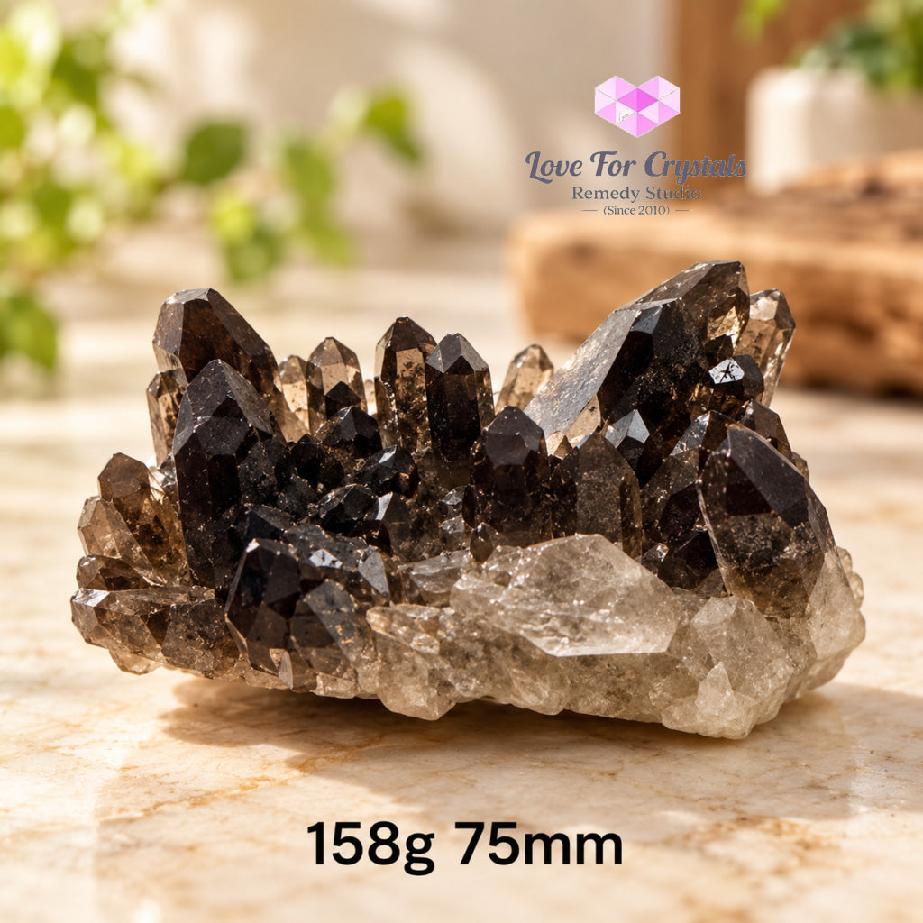 Smoky Quartz Mini Clusters (Brazil) - 158g 75mm