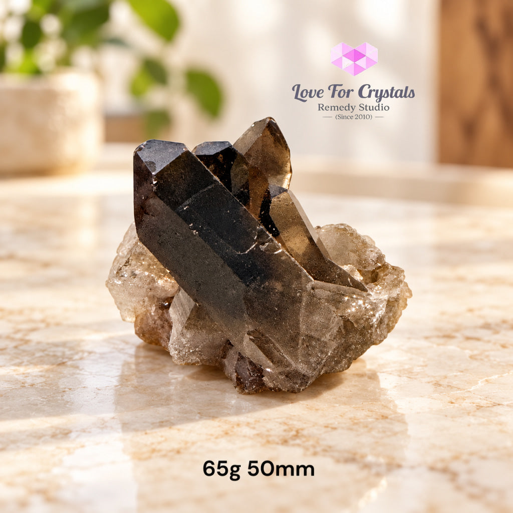 Smoky Quartz Mini Clusters (Brazil) - 65g 50mm