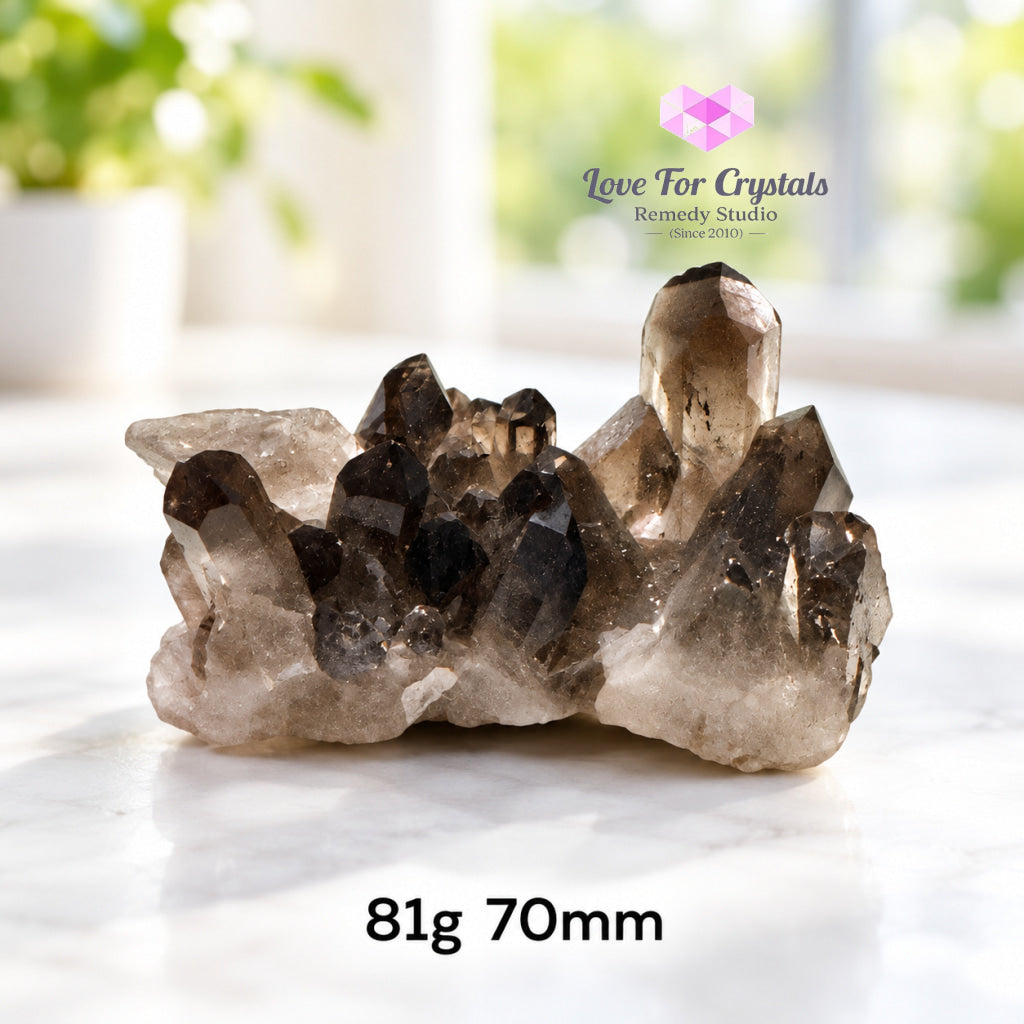 Smoky Quartz Mini Clusters (Brazil) - 81g 70mm