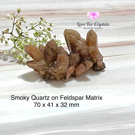 Smoky Quartz On Feldspar Matrix (South Africa)Collectors Raw Crystals