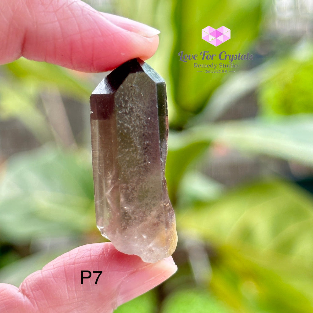 Smoky Quartz Raw Points (Brazil) Crystals