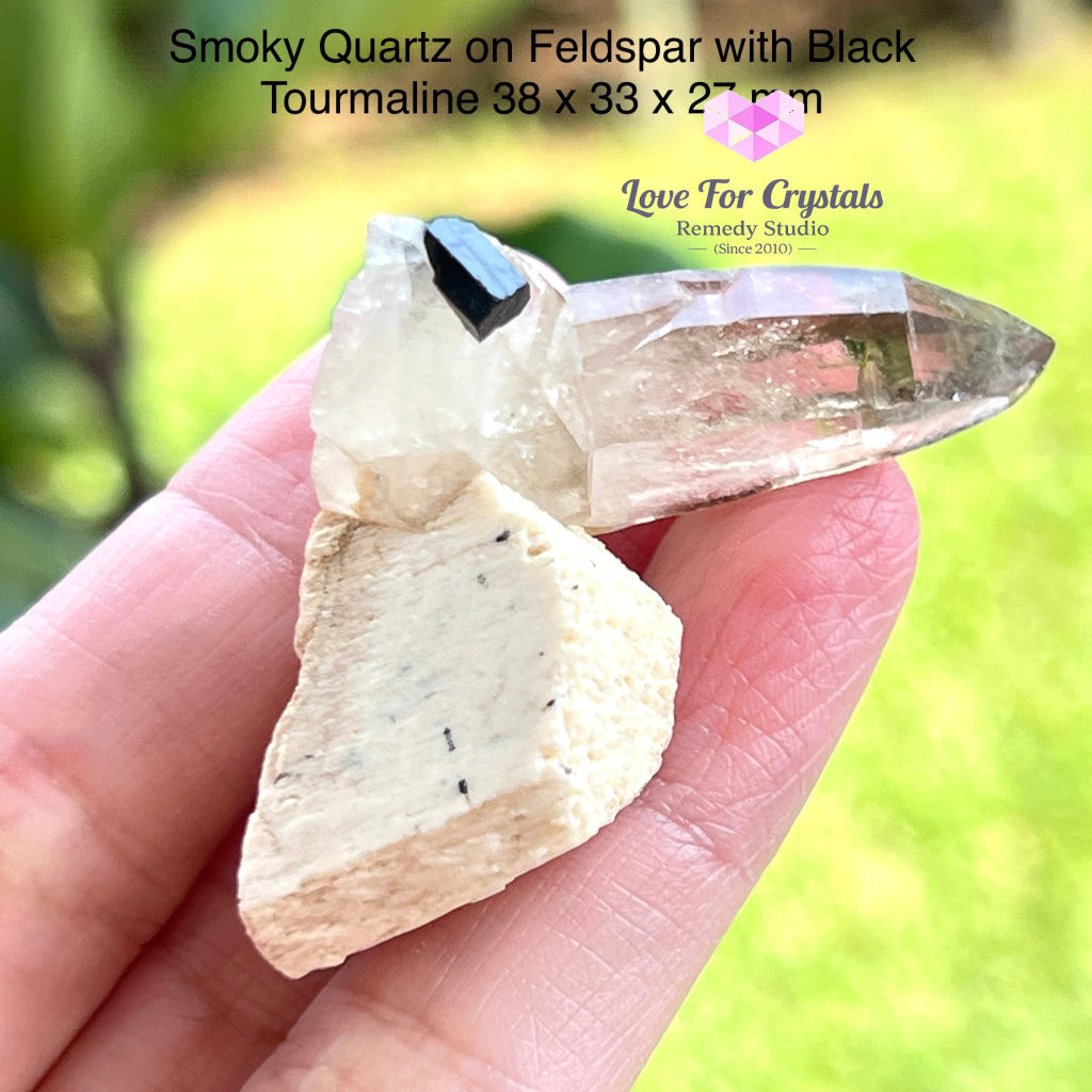 Smoky Quartz With Black Tourmaline On Feldspar Matrix (South Africa) Collectors 38 X 33 27 Mm