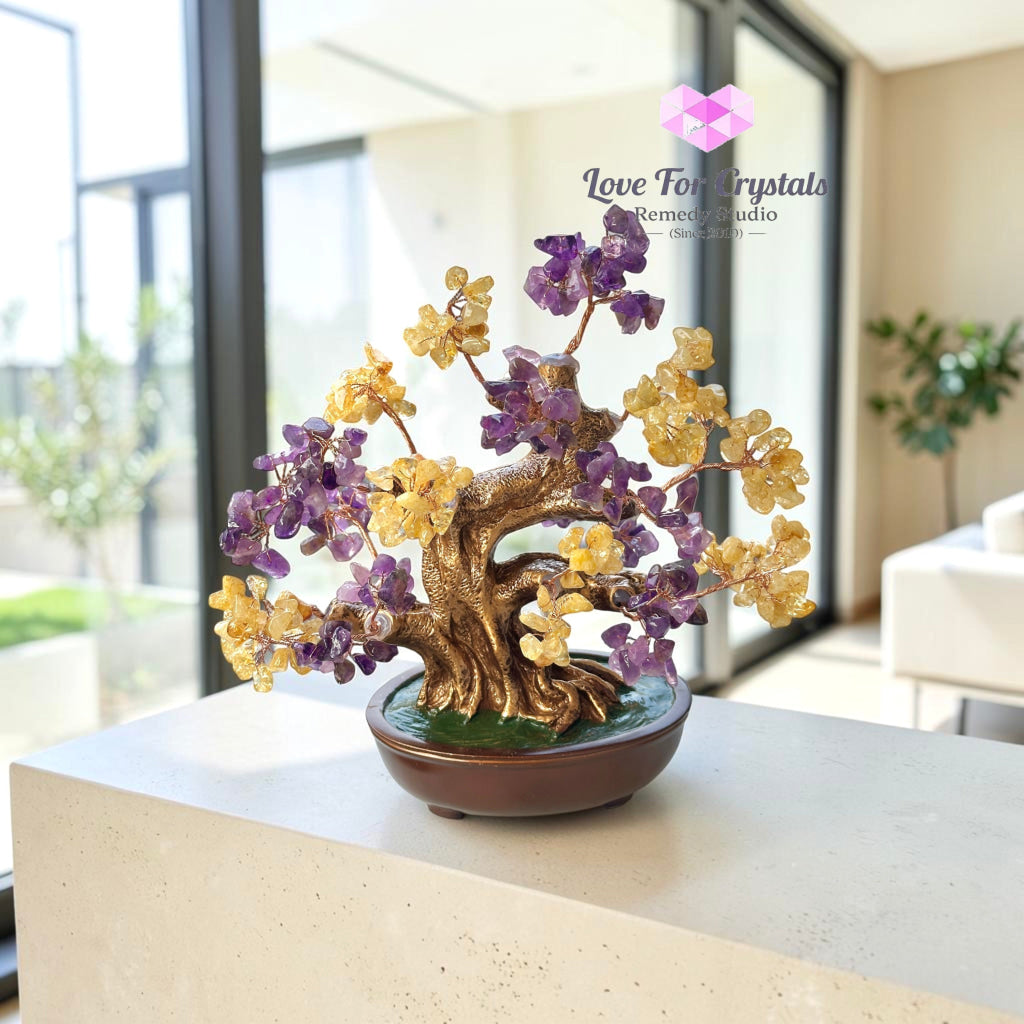 Success & Money Tree (Amethyst & Citrine) 20cm - 20cm - Citrine