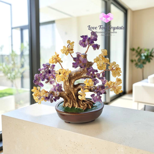 Success & Money Tree (Amethyst & Citrine) 20cm - 20cm - Citrine
