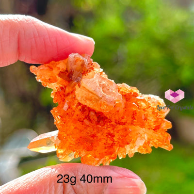 Tangerine Lemurian Quartz Cluster (Brazil) Raw Crystals