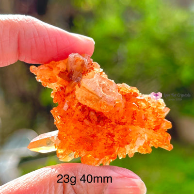 Tangerine Lemurian Quartz Cluster (Brazil) Raw Crystals