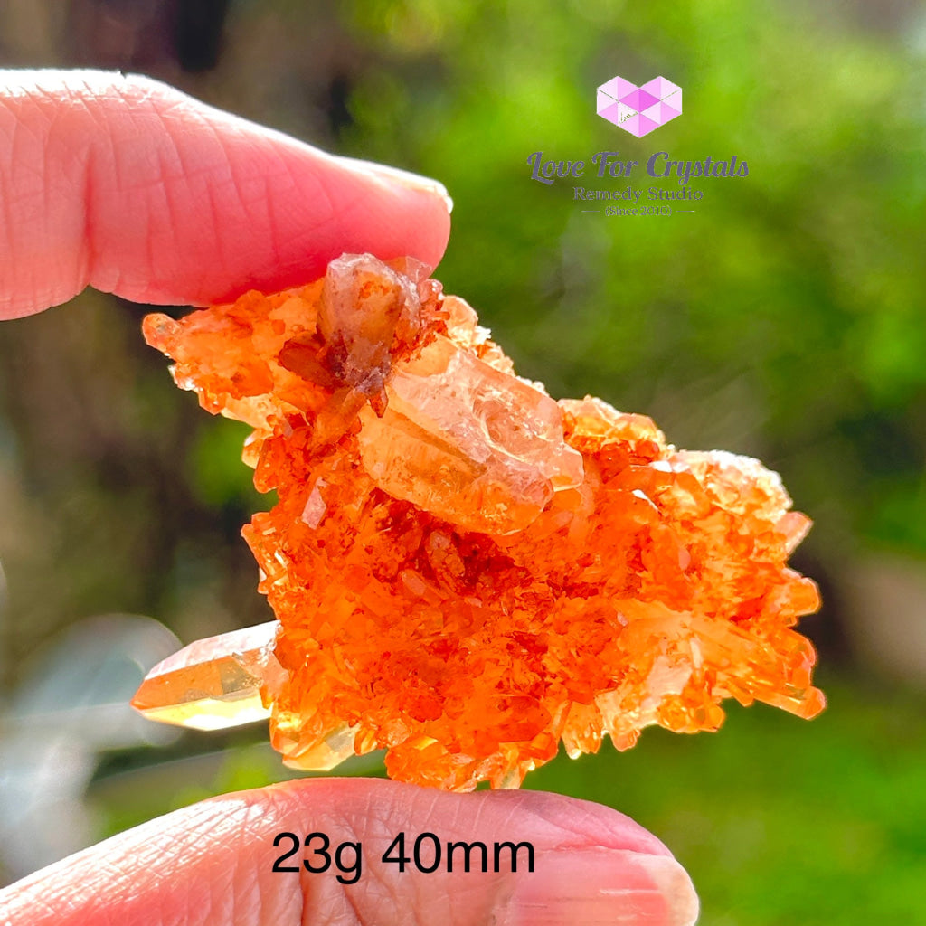 Tangerine Lemurian Quartz Cluster (Brazil) Raw Crystals