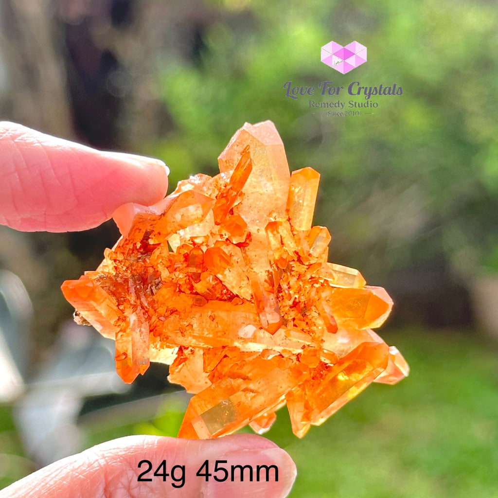 Tangerine Lemurian Quartz Cluster (Brazil) Raw Crystals