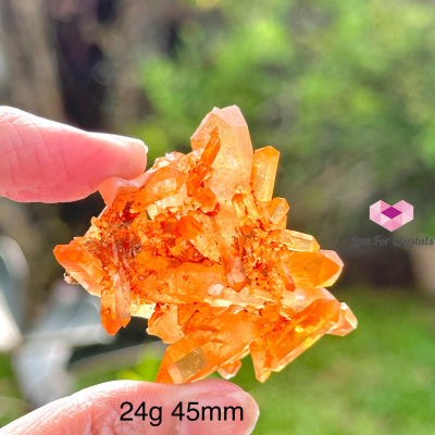 Tangerine Lemurian Quartz Cluster (Brazil) Raw Crystals