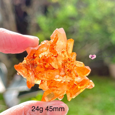 Tangerine Lemurian Quartz Cluster (Brazil) Raw Crystals