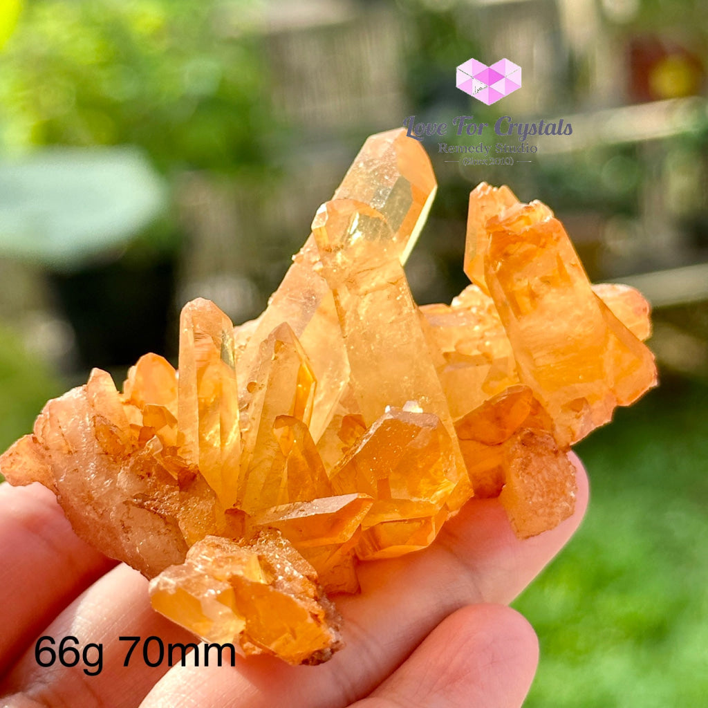 Tangerine Lemurian Quartz Cluster (Brazil) Raw Crystal