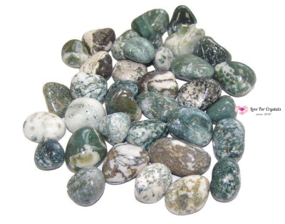 Tea Tree Agate Tumbled (Brazil) Stones