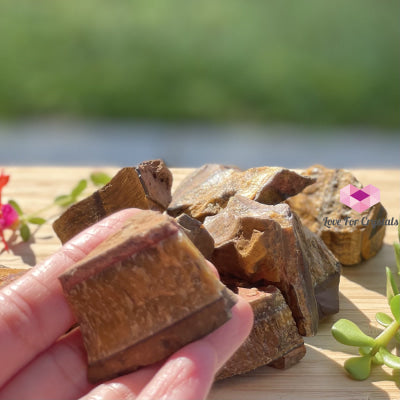 Tigers Eye Raw (South Africa) Stones