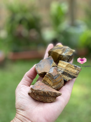 Tigers Eye Raw (South Africa) Stones
