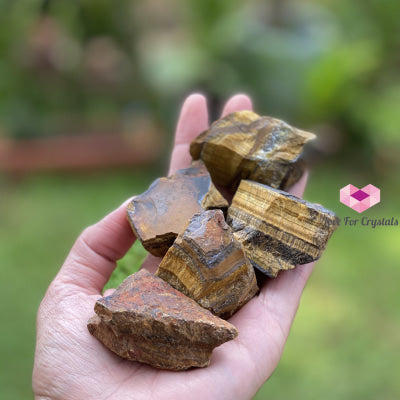 Tigers Eye Raw (South Africa) Stones
