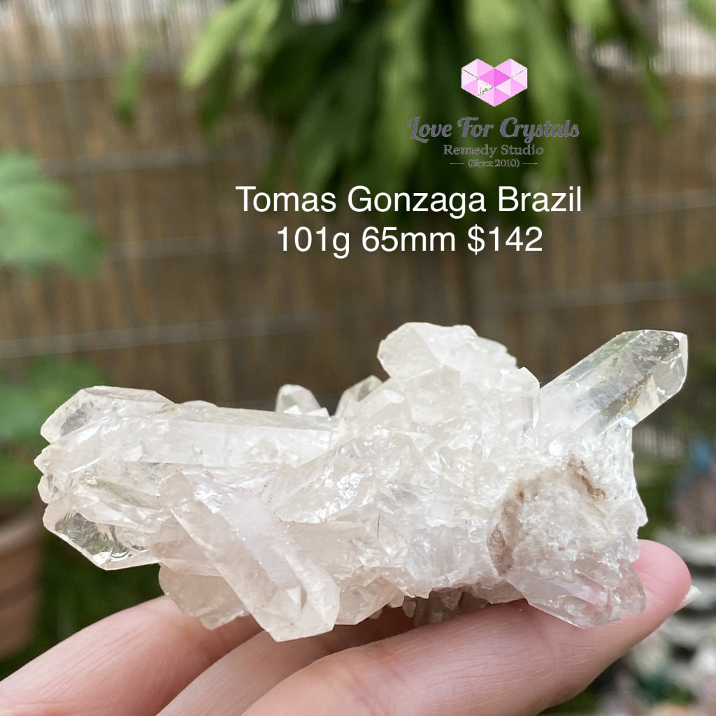 Tomas Gonzaga Clear Quartz Cluster (Brazil) 101G 65Mm Caves Geodes And Clusters