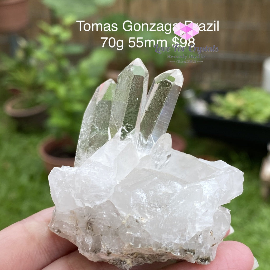 Tomas Gonzaga Clear Quartz Cluster (Brazil) 70G 55Mm Caves Geodes And Clusters