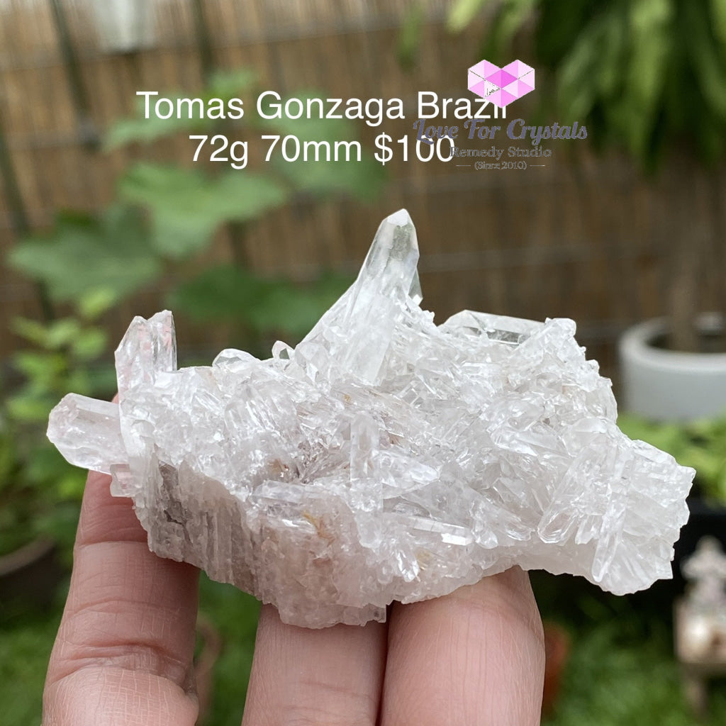 Tomas Gonzaga Clear Quartz Cluster (Brazil) 72G 70Mm Caves Geodes And Clusters