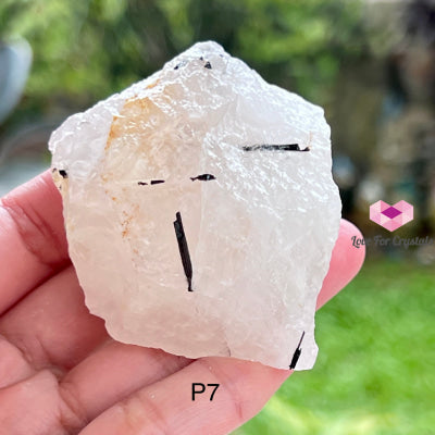 Tourmalinated Quartz Raw (Brazil) Photo 7 Crystals