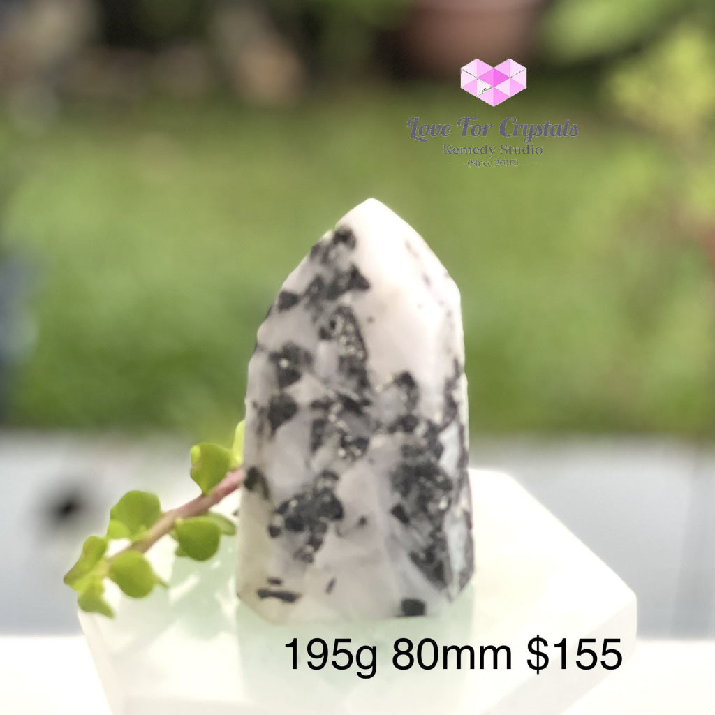 Tourmalinated (Tourmalated) Quartz Standing Point (Brazil) Tourmaline And 195G 80Mm