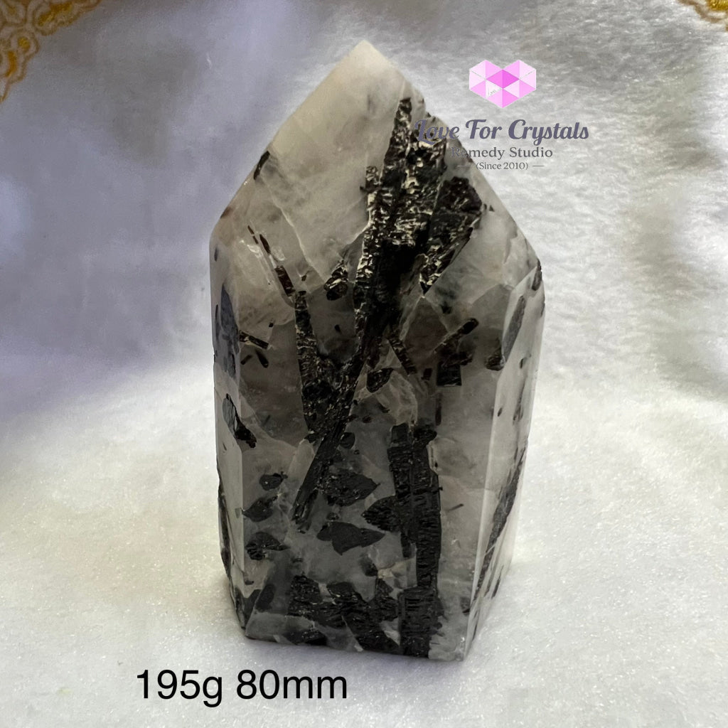 Tourmalinated (Tourmalated) Quartz Standing Point (Brazil) Tourmaline And 195G 80Mm